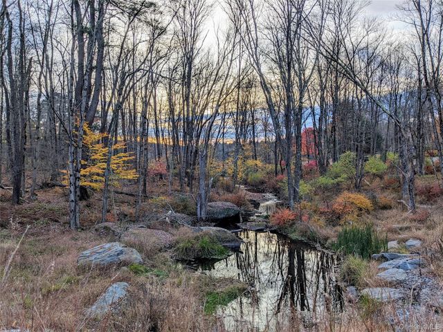 24 N Mohican Trail, Smallwood, NY 12778