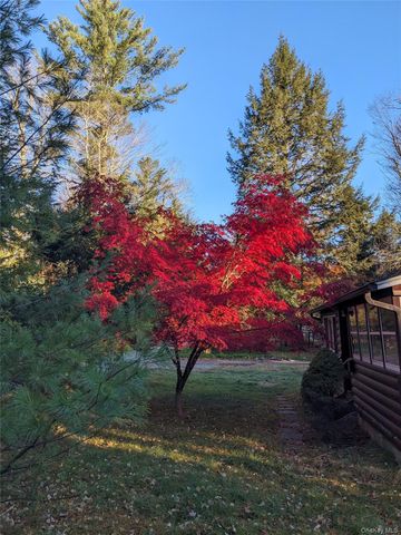 24 N Mohican Trail, Smallwood, NY 12778