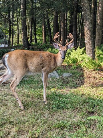 24 N Mohican Trail, Smallwood, NY 12778