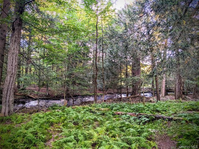 24 N Mohican Trail, Smallwood, NY 12778