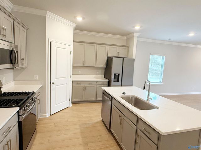 171 Clift Creek Drive, Madison, AL 35757