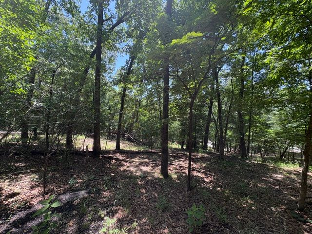 Lots 23-25 Maple Drive, Garfield, AR 72732