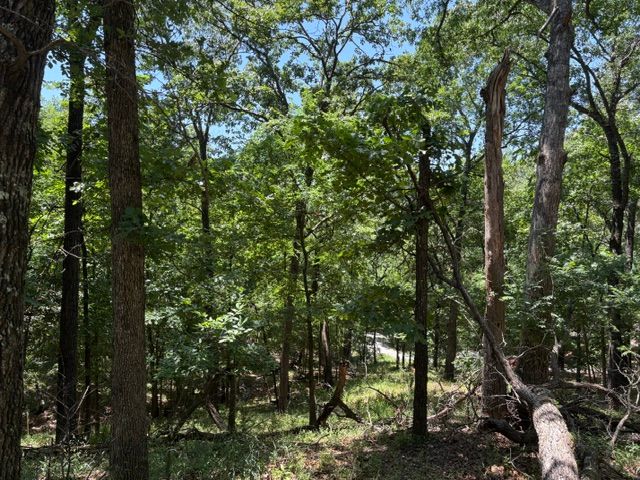 Lots 23-25 Maple Drive, Garfield, AR 72732