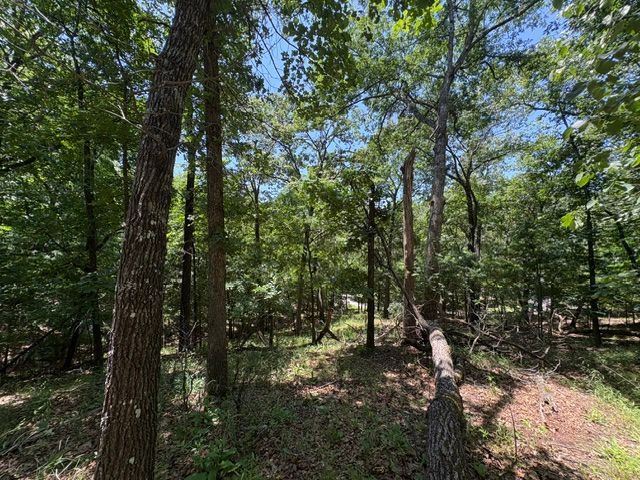 Lots 23-25 Maple Drive, Garfield, AR 72732