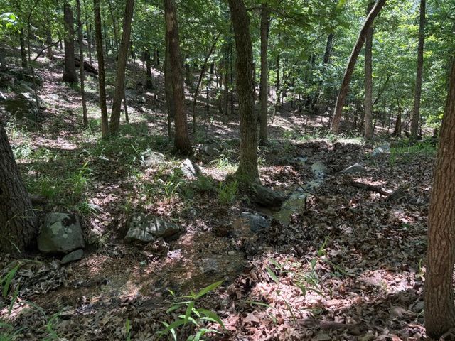 Lots 23-25 Maple Drive, Garfield, AR 72732