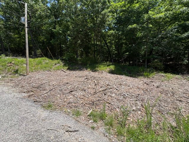 Lots 23-25 Maple Drive, Garfield, AR 72732