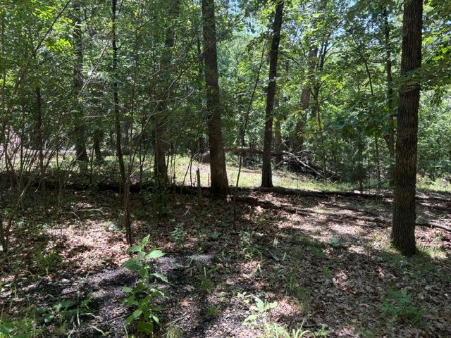 Lots 23-25 Maple Drive, Garfield, AR 72732