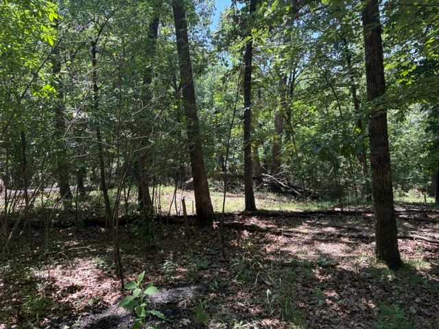Lots 23-25 Maple Drive, Garfield, AR 72732