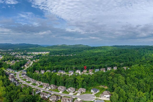 3767 Lacy Leaf Lane, Apison, TN 37302
