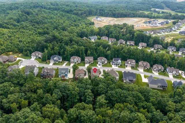 3767 Lacy Leaf Lane, Apison, TN 37302