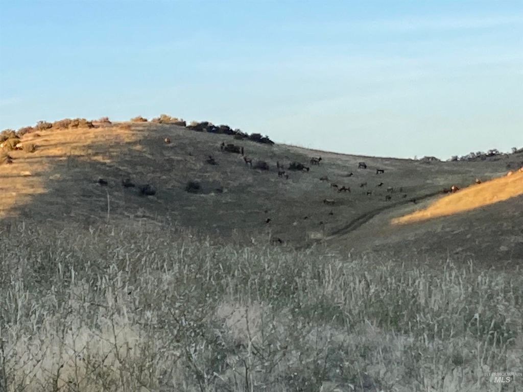 1854 Farnam Ln, Weiser, ID 83672 photo 16