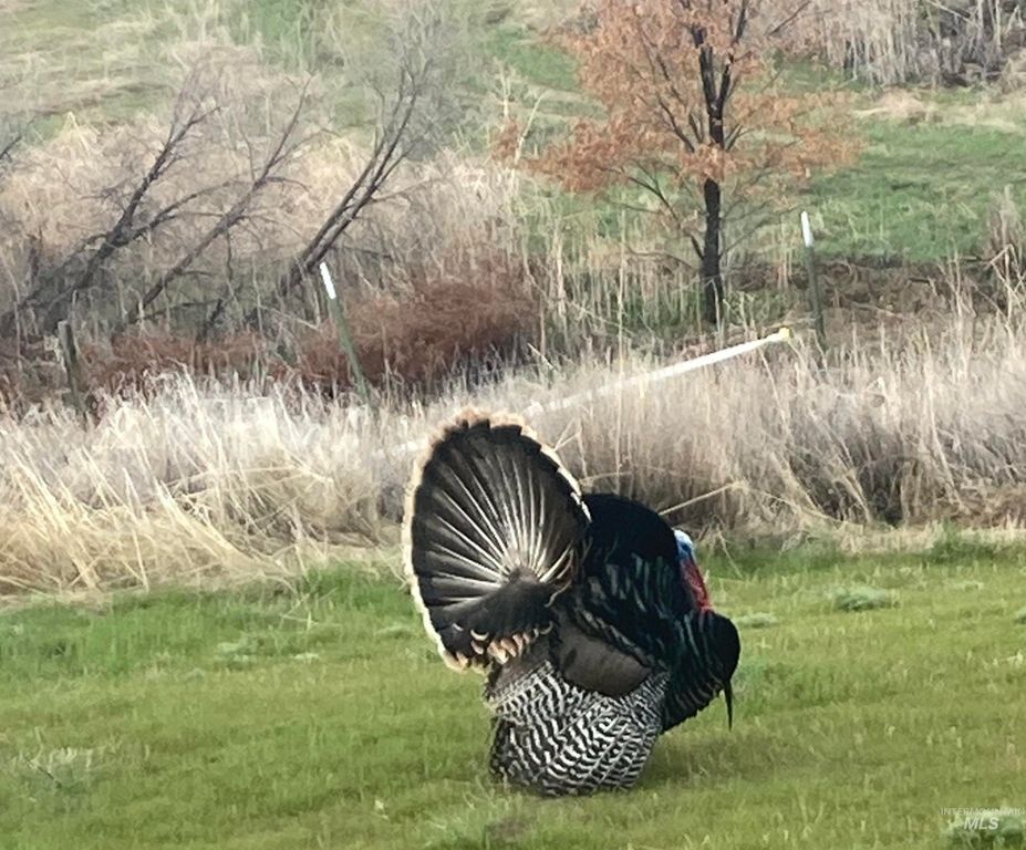 1854 Farnam Ln, Weiser, ID 83672 photo 20