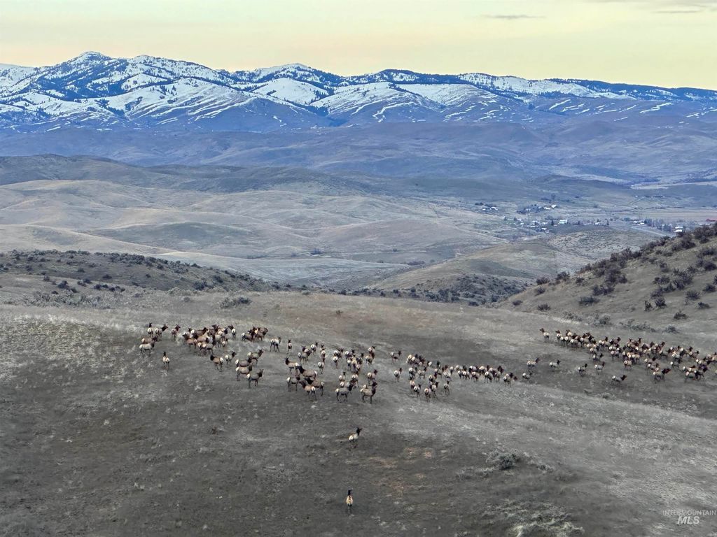 1854 Farnam Ln, Weiser, ID 83672 photo 7