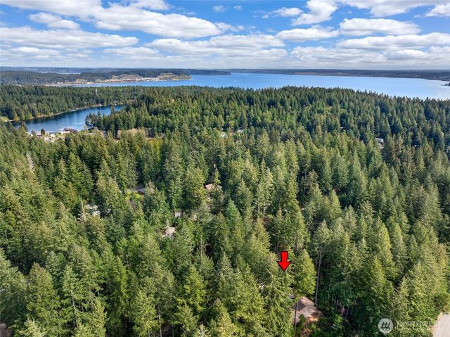 11316 Laurel Place, Anderson Island, WA 98303