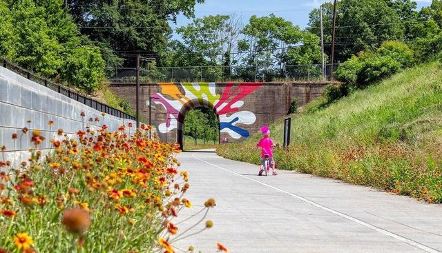 1207 M L King Jr SW Drive, Atlanta, GA 30314