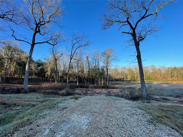 11363 Annie Creek Drive, Willis, TX 77378