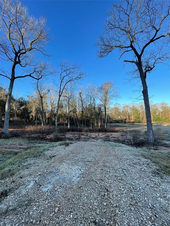 11363 Annie Creek Drive, Willis, TX 77378