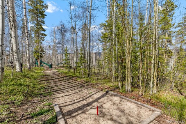 4400 Lodgepole Circle 101, Silverthorne, CO 80498