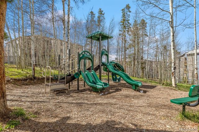 4400 Lodgepole Circle 101, Silverthorne, CO 80498