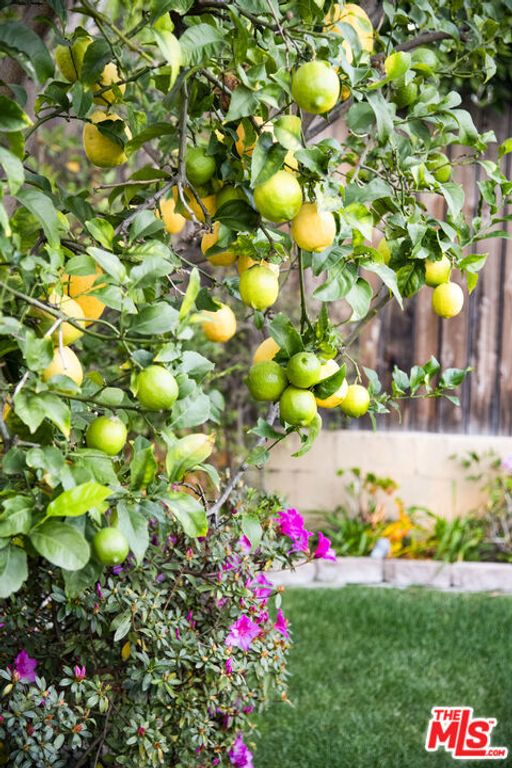 Image 44 of property listing at 6427 Lindenhurst Avenue, Los Angeles, CA 90048