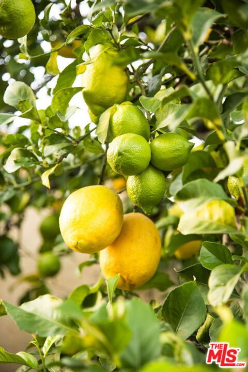 Image 45 of property listing at 6427 Lindenhurst Avenue, Los Angeles, CA 90048