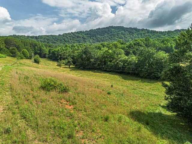 541 Pleasant Hill Road, Copperhill, TN 37317