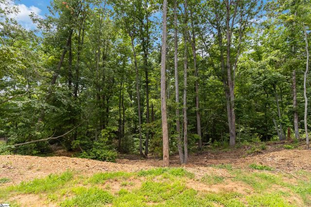 136 N Forest Circle, Marietta, SC 29661