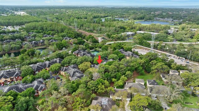 2141 PORTOFINO PLACE 8-2826, Palm Harbor, FL 34683