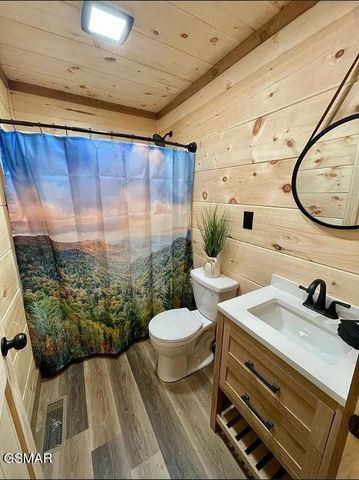 1420 Alpine Drive, Sevierville, TN 37876