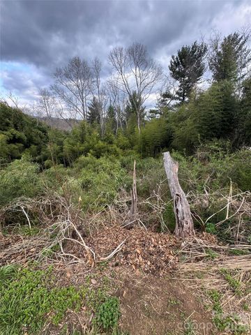 38 Belleair Road, Asheville, NC 28806