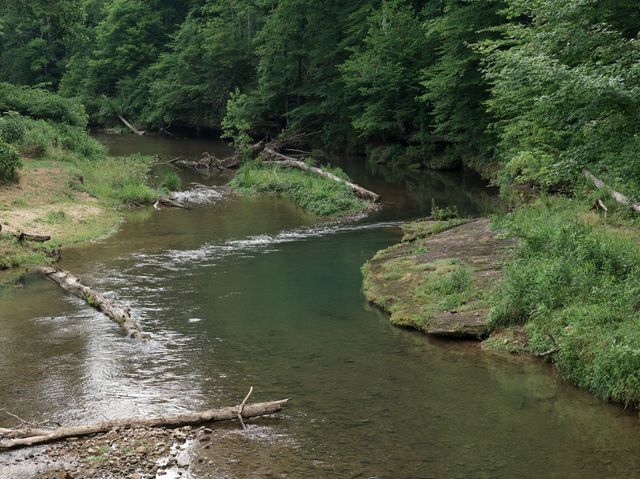 5490 Old Mill Creek Rd, Nunnelly, TN 37137