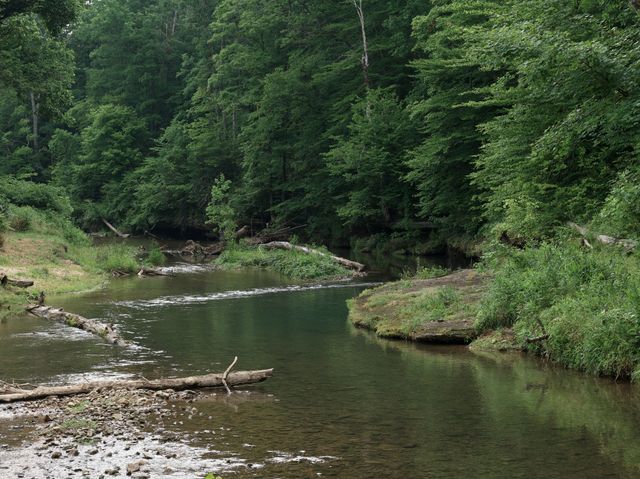 5490 Old Mill Creek Rd, Nunnelly, TN 37137