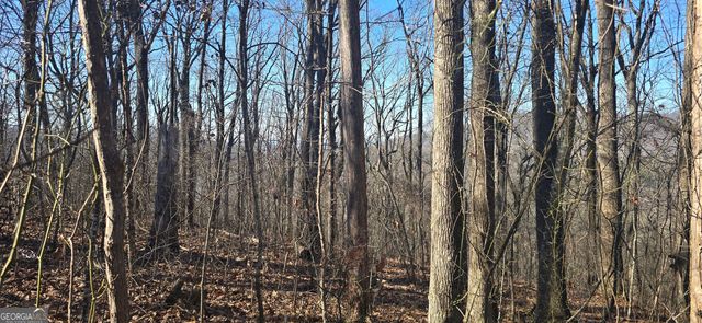 00001 Big Oak Drive, Jasper, GA 30143