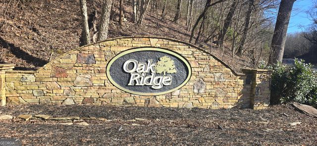 00001 Big Oak Drive, Jasper, GA 30143