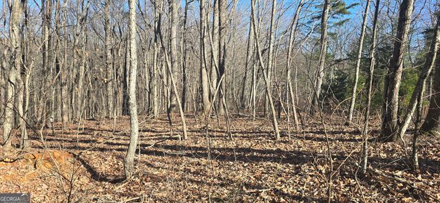 00001 Big Oak Drive, Jasper, GA 30143