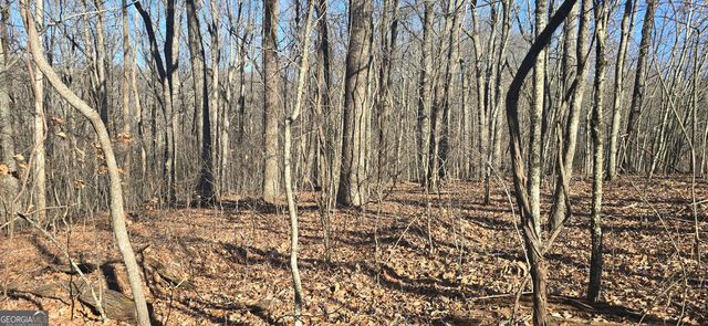 00001 Big Oak Drive, Jasper, GA 30143