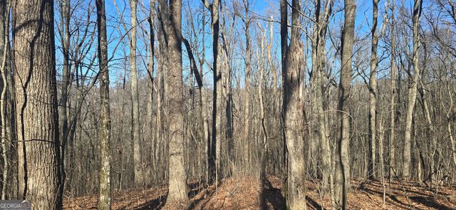 00001 Big Oak Drive, Jasper, GA 30143