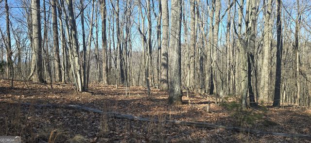 00001 Big Oak Drive, Jasper, GA 30143