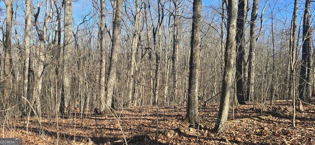 00001 Big Oak Drive, Jasper, GA 30143