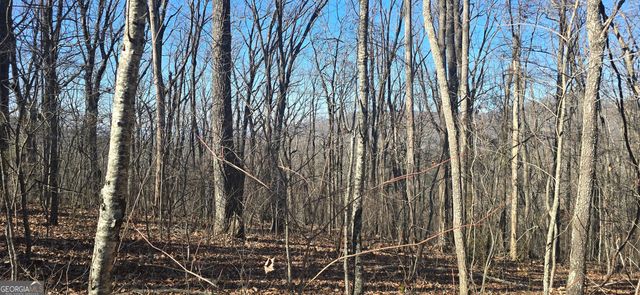 00001 Big Oak Drive, Jasper, GA 30143