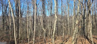 00001 Big Oak Drive, Jasper, GA 30143