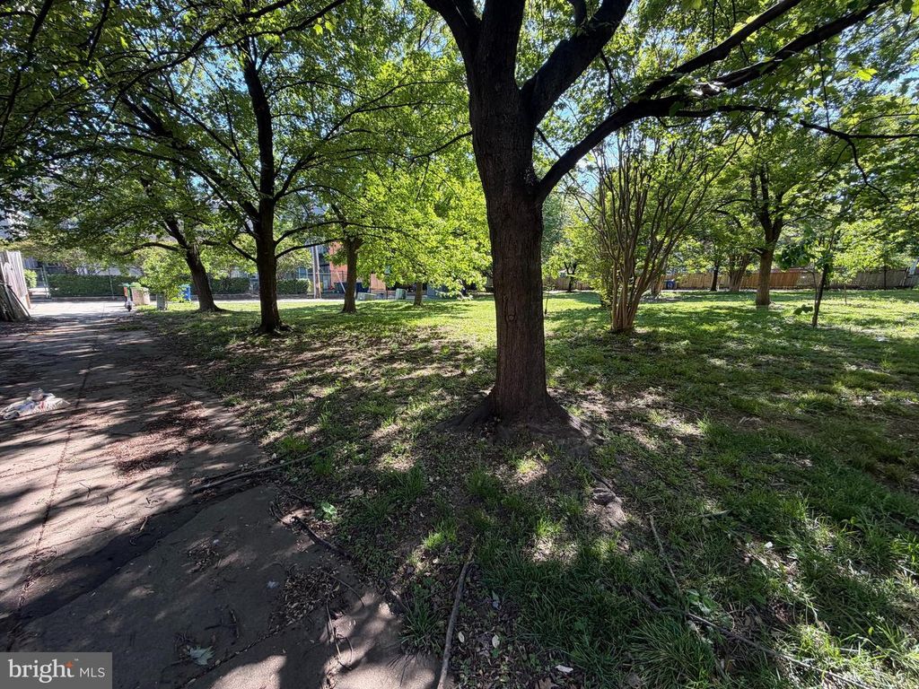 Image 27 of property listing at 14 N WOLFE ST N, Baltimore, MD 21231
