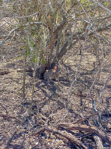 153 PVT 4022, Beeville, TX 78102