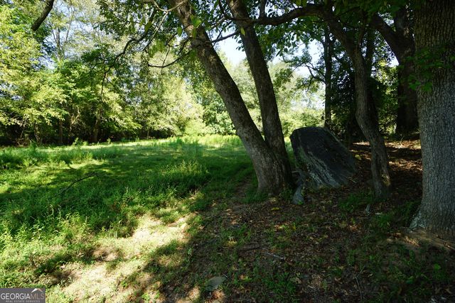 260.66 AC Bohannon Road, Grantville, GA 30220
