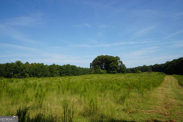 260.66 AC Bohannon Road, Grantville, GA 30220