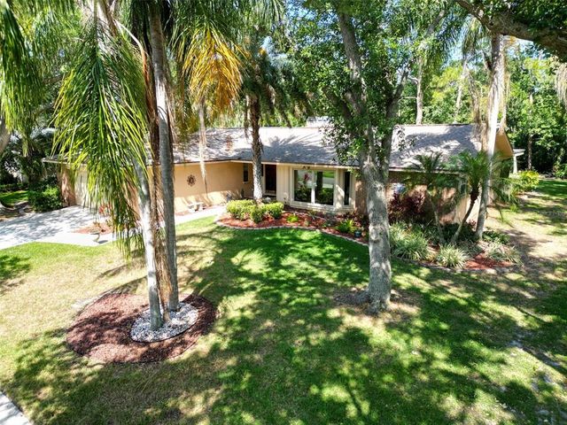 495 PALMDALE DRIVE, Oldsmar, FL 34677