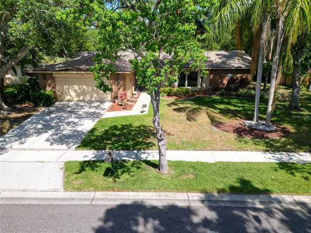 495 PALMDALE DRIVE, Oldsmar, FL 34677