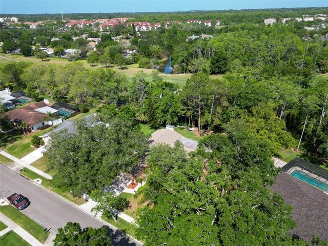 495 PALMDALE DRIVE, Oldsmar, FL 34677