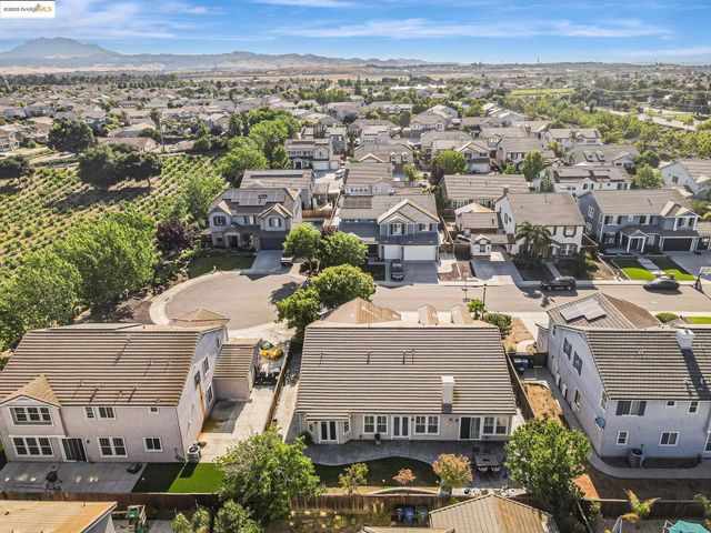 43 Sorrel Ct, Oakley, CA 94561