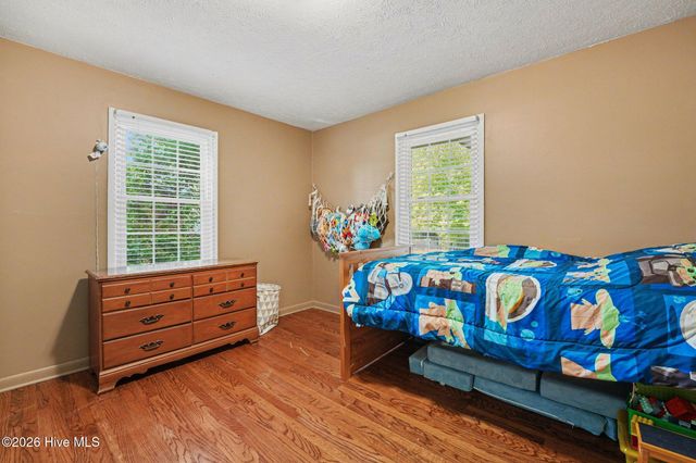 203 W Fayetteville Street, Micro, NC 27555